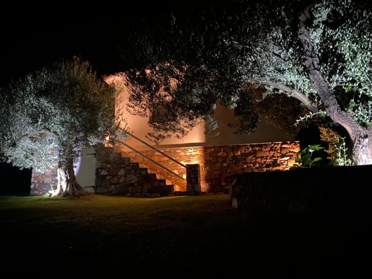 Villa Kladi Nikiti  Exterior photo