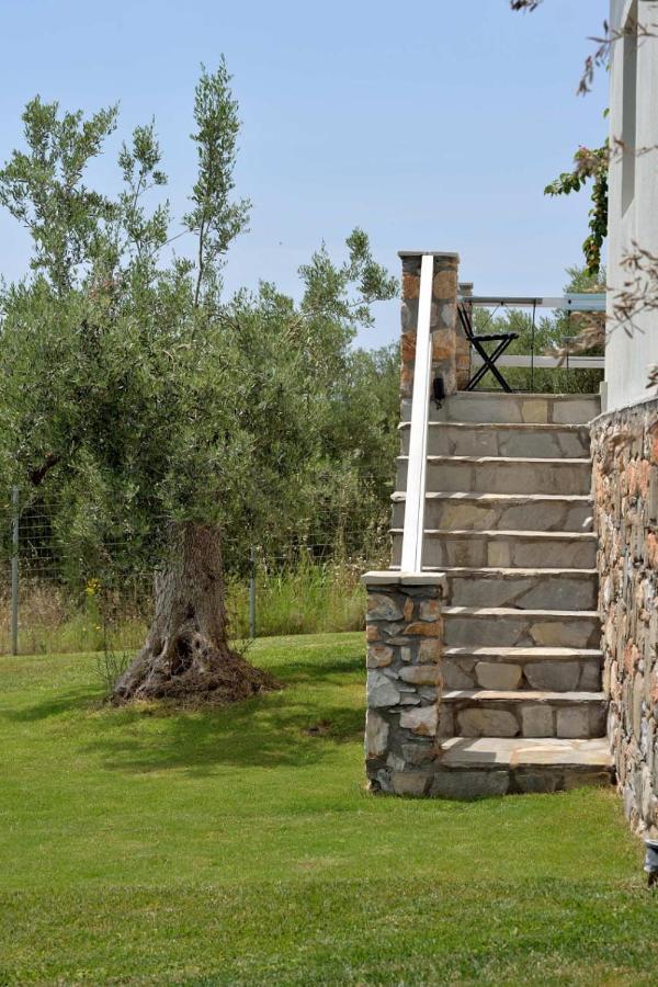 Villa Kladi Nikiti  Exterior photo